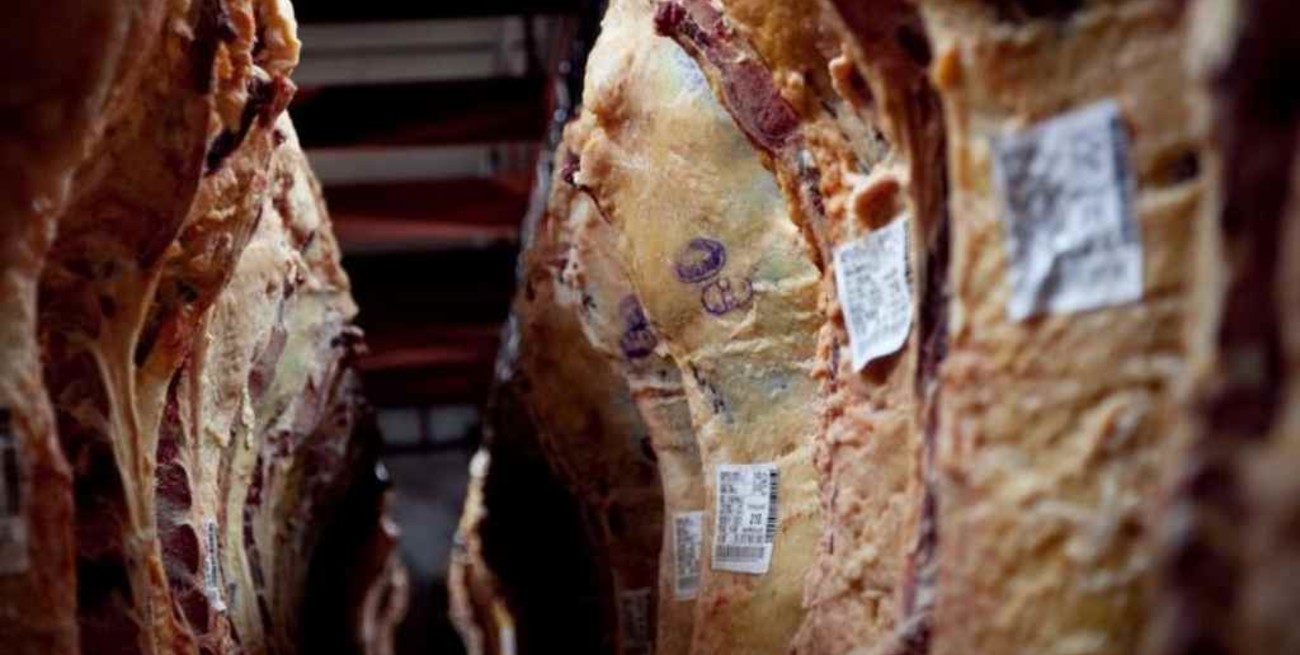 Según el interbloque de legisladores provinciales de la UCR, "suspender las exportaciones de carne no aportará soluciones"
