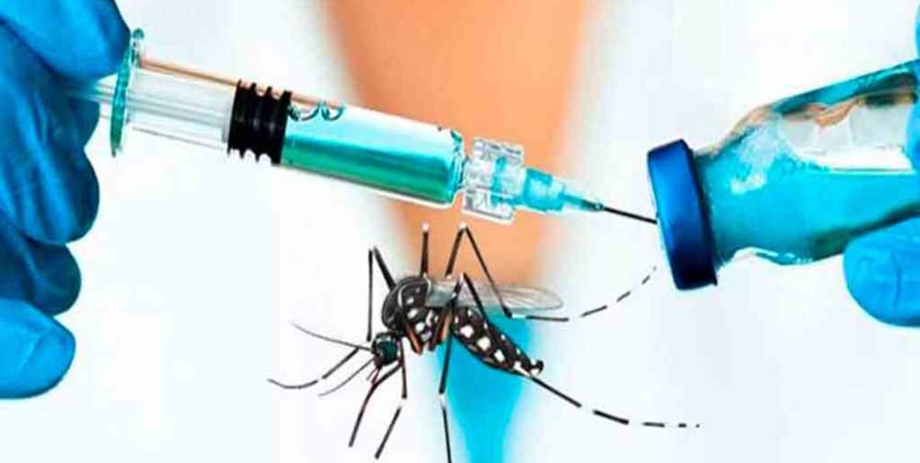 Se prevé un incremento de los casos de dengue en Argentina para los próximos meses