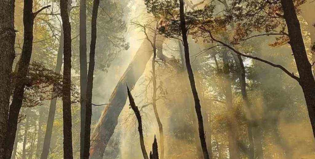 Bariloche: trabajan con equipos de tierra para apagar los incendios forestales mientras se esperan lluvias