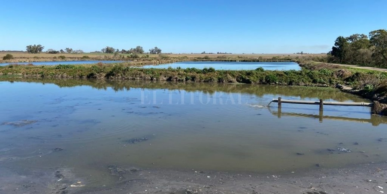 Detectaron Covid en aguas residuales urbanas de San Justo
