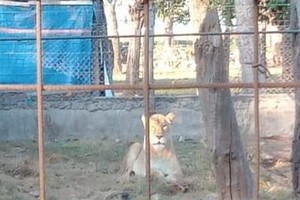 ELLITORAL_383470 |  Sur24