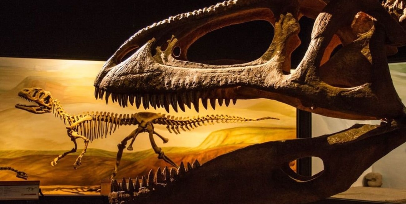 El museo de los dinosaurios en Trelew reabre sus puertas tras siete meses de pandemia