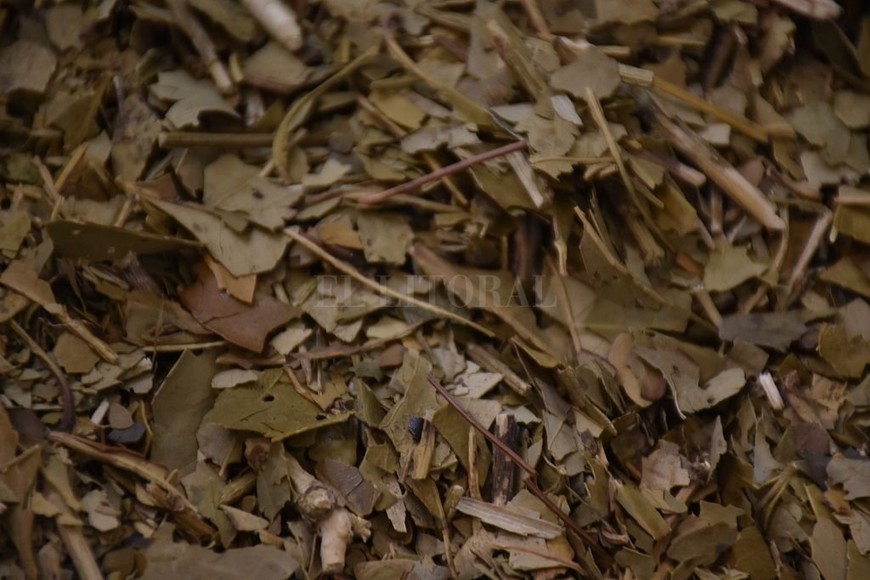 ELLITORAL_344318 |  Archivo El Litoral / Flavio Raina