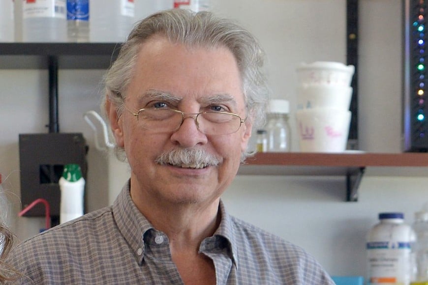 ELLITORAL_438337 |  Diana Martimez Llaser Gerardo Burton, director del Unidad de Microanálisis y Métodos Físicos Aplicados a la Química Orgánica UBA (UMYMFOR).