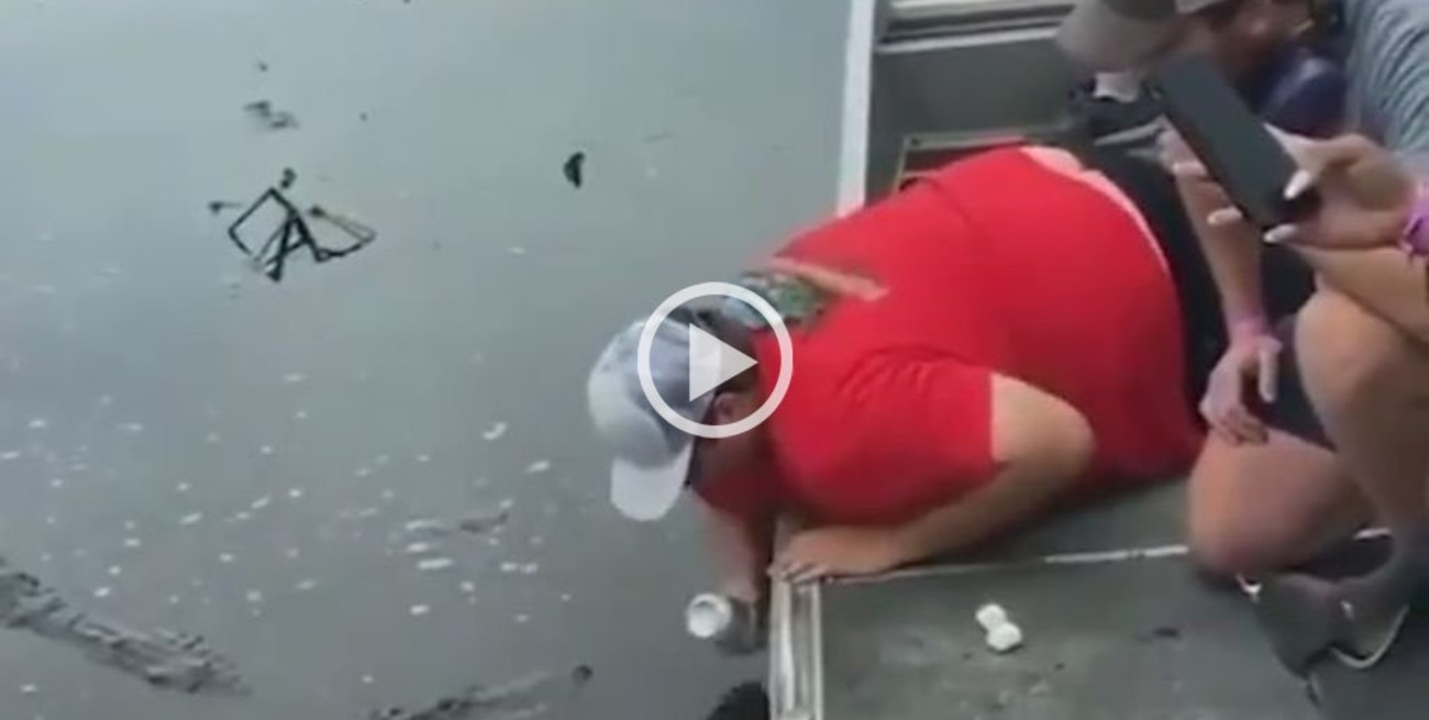 Video: usó la boca de un caimán para abrir una lata de cerveza