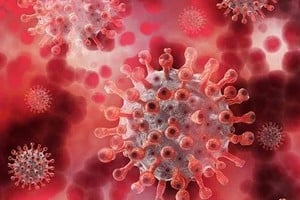 ELLITORAL_375684 |  Imagen ilustrativa