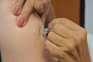 ELLITORAL_384594 |  Archivo/ Flavio Raina No sólo Covid. El Calendario Nacional de Vacunación es uno de los más completos de la región y es importante mantenerlo al día.