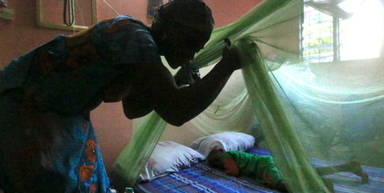 Malaria: la prometedora vacuna que demostró por primera vez una alta eficacia para combatir la enfermedad