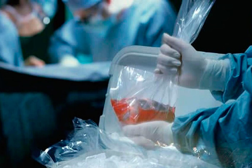 ELLITORAL_347214 |  Gentileza