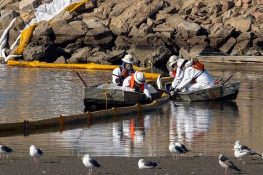 ELLITORAL_409600 |  Gentileza