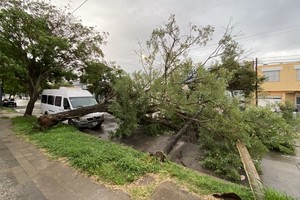 ELLITORAL_346982 |  Gentileza