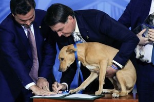 ELLITORAL_328961 |  Captura de pantalla