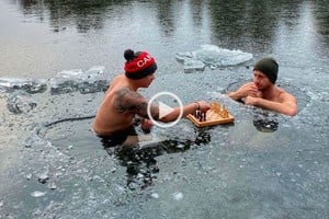 ELLITORAL_345997 |  RT