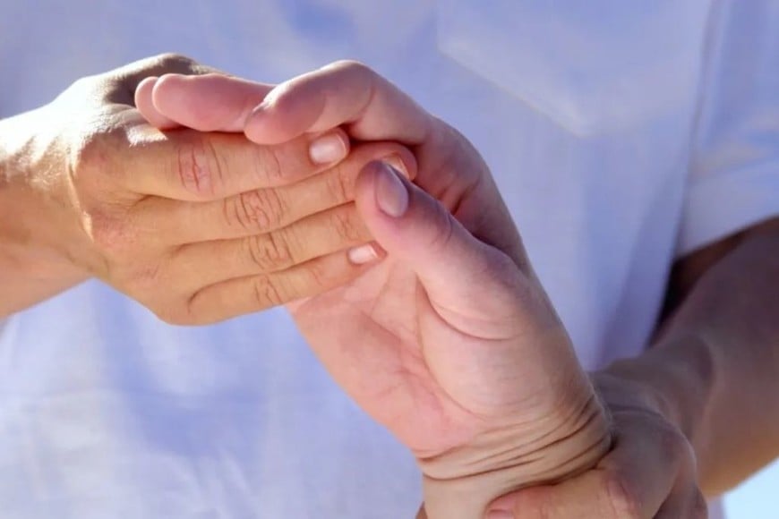 ELLITORAL_410017 |  Gentileza