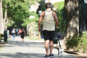 ELLITORAL_413804 |  Manuel Fabatía