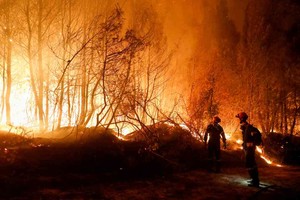 ELLITORAL_395217 |  Reuters Devastadores incendios en Grecia.