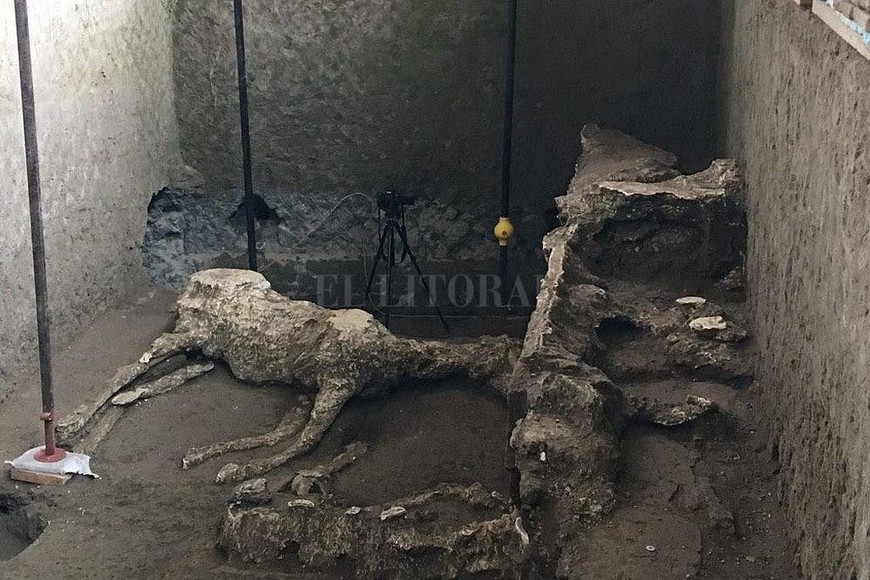 ELLITORAL_233574 | Facebook - Pompeii - Parco Archeologico @pompeiisoprintendenza