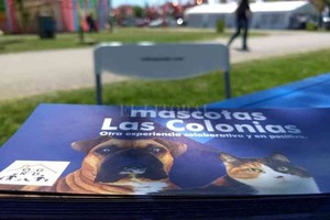 ELLITORAL_353513 |  Gentileza