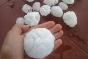 ELLITORAL_417770 |  Gentileza