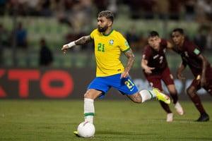 ELLITORAL_409352 |  Gentileza