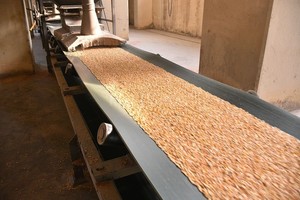 ELLITORAL_348030 |  Archivo El Litoral / Manuel Fabatía