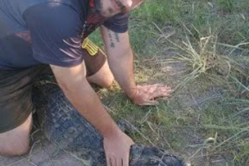 ELLITORAL_349975 |  Gentileza