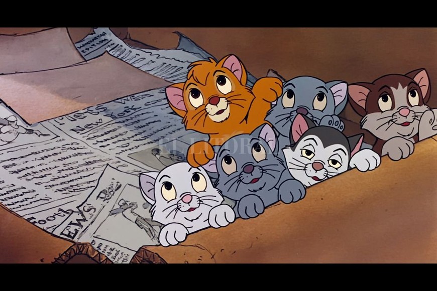 ELLITORAL_420894 |  Disney