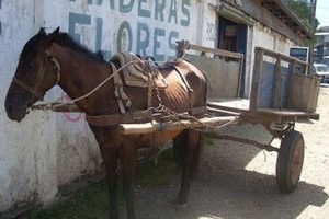 ELLITORAL_417329 |  Captura de pantalla