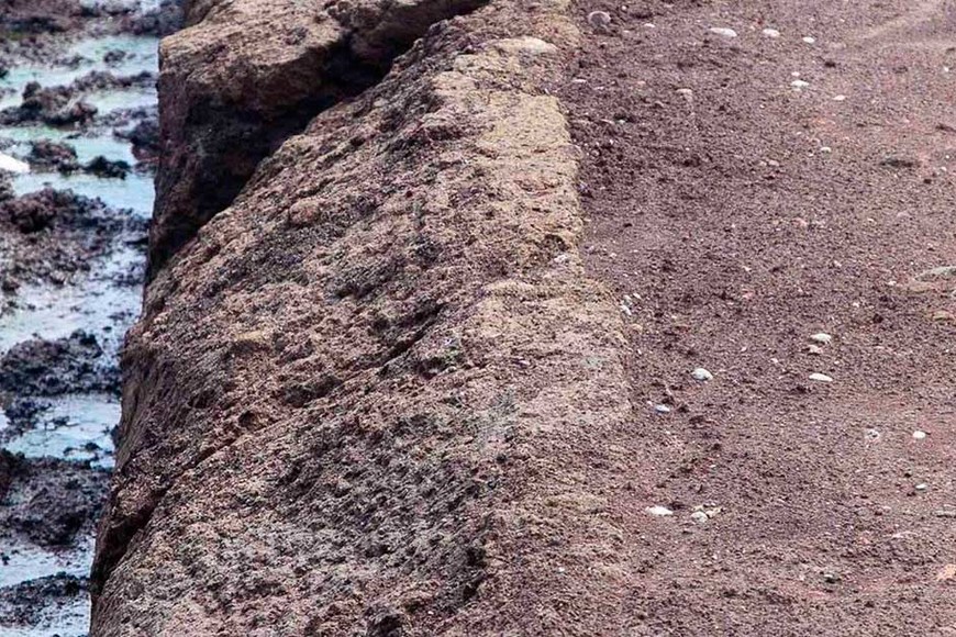 ELLITORAL_325065 |  Gentileza Soprintendenza Speciale Roma