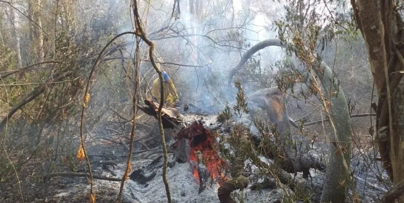 Jujuy y Neuquén continúan con focos activos de incendios forestales