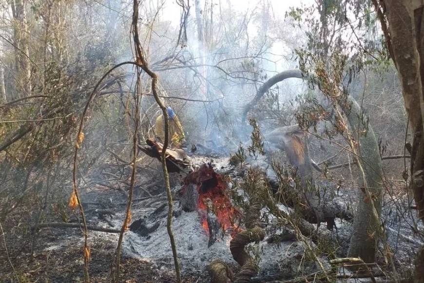 ELLITORAL_333054 |  Gentileza