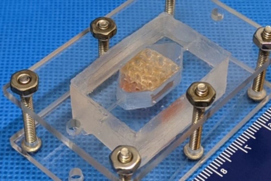 ELLITORAL_382683 |  Gentileza