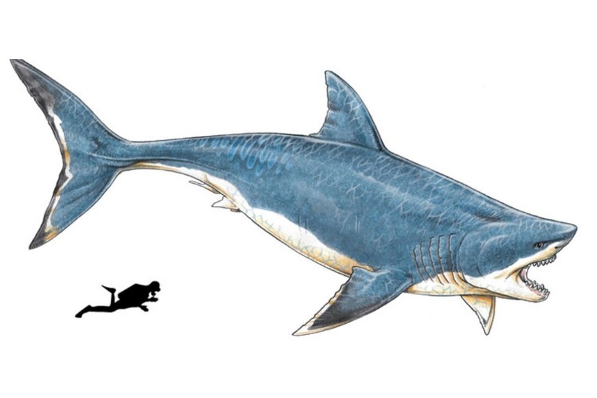 ELLITORAL_418351 | Agencia CTyS