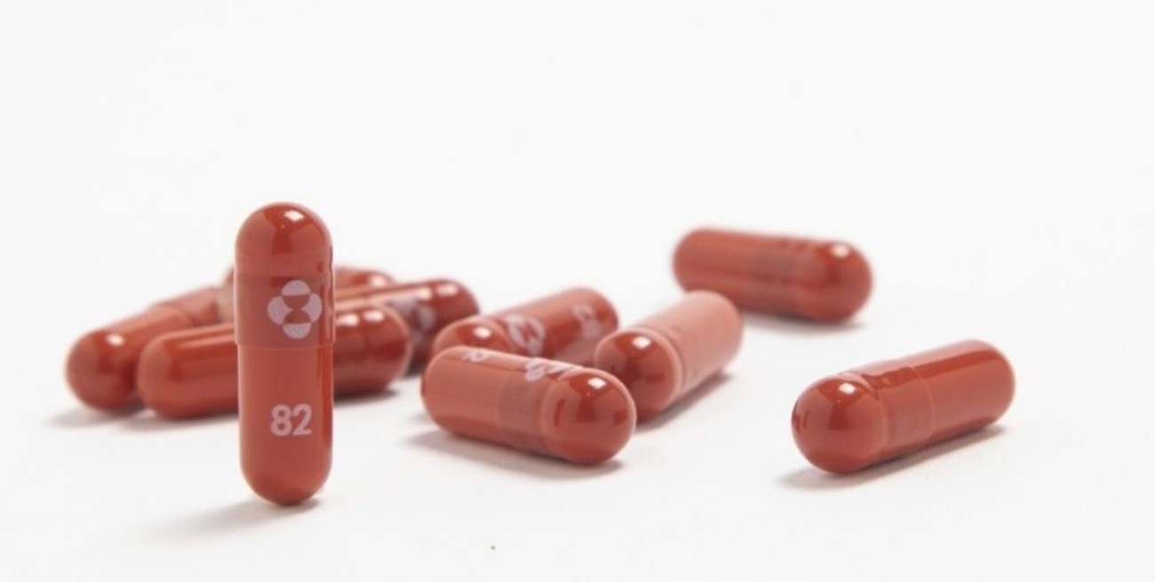 La OMS planea comprar pastillas antivirales para tratar pacientes leves de Covid