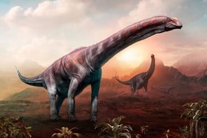 ELLITORAL_350853 |  Warpaintcobra Argentinosaurus dinosaur 3D illustration
