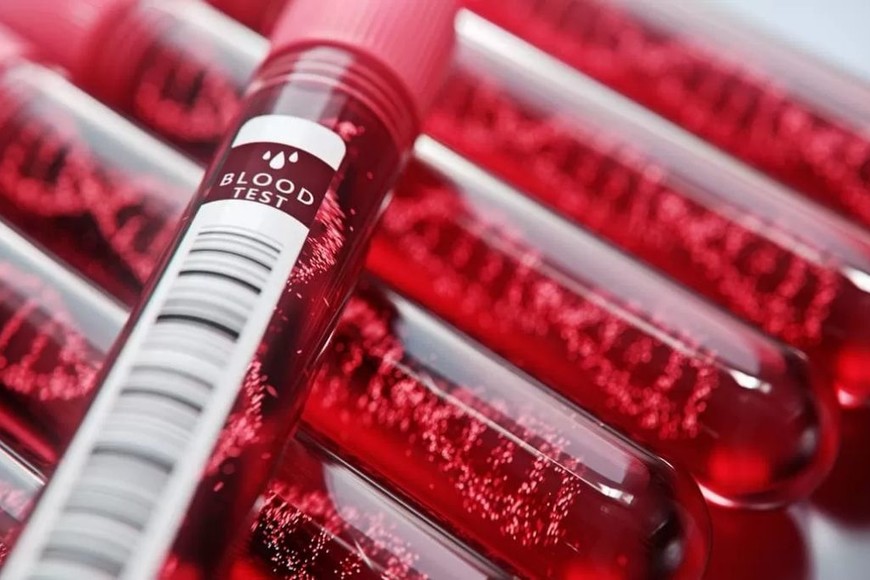 ELLITORAL_410780 |  Gentileza