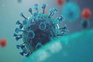 ELLITORAL_379567 |  Imagen ilustrativa