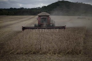 ELLITORAL_373755 |  Federico Aguer La Región Centro aportaría un 19% menos que la campaña anterior.