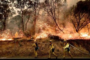 ELLITORAL_390263 | Gentileza