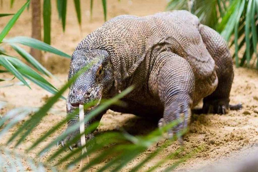 ELLITORAL_401754 |  Imagen ilustrativa