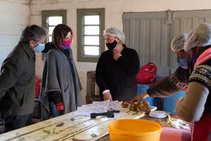 ELLITORAL_411199 |  Gentileza