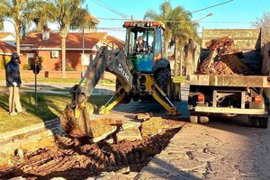 ELLITORAL_387976 |  El Litoral