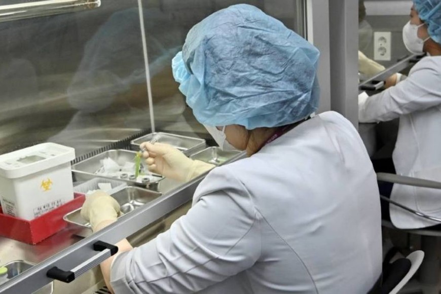 ELLITORAL_365135 |  Gentileza