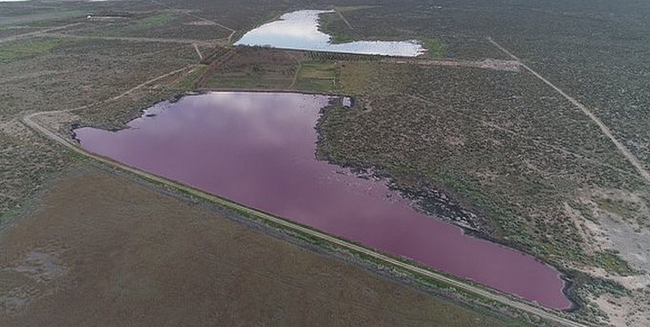 Contaminación: siguen los cruces en Chubut por la laguna que se tiñó de rosa
