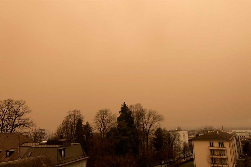 ELLITORAL_354638 |  Twitter