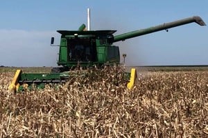 ELLITORAL_370205 |  Gentileza