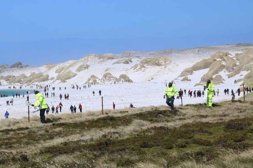 ELLITORAL_338129 |  Gentileza Corte de alambrado protector. Fotografía suministrada a Gustavo Peretti por Teena Ormond, residente de Malvinas.
