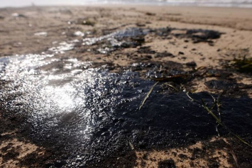 ELLITORAL_409599 |  Gentileza