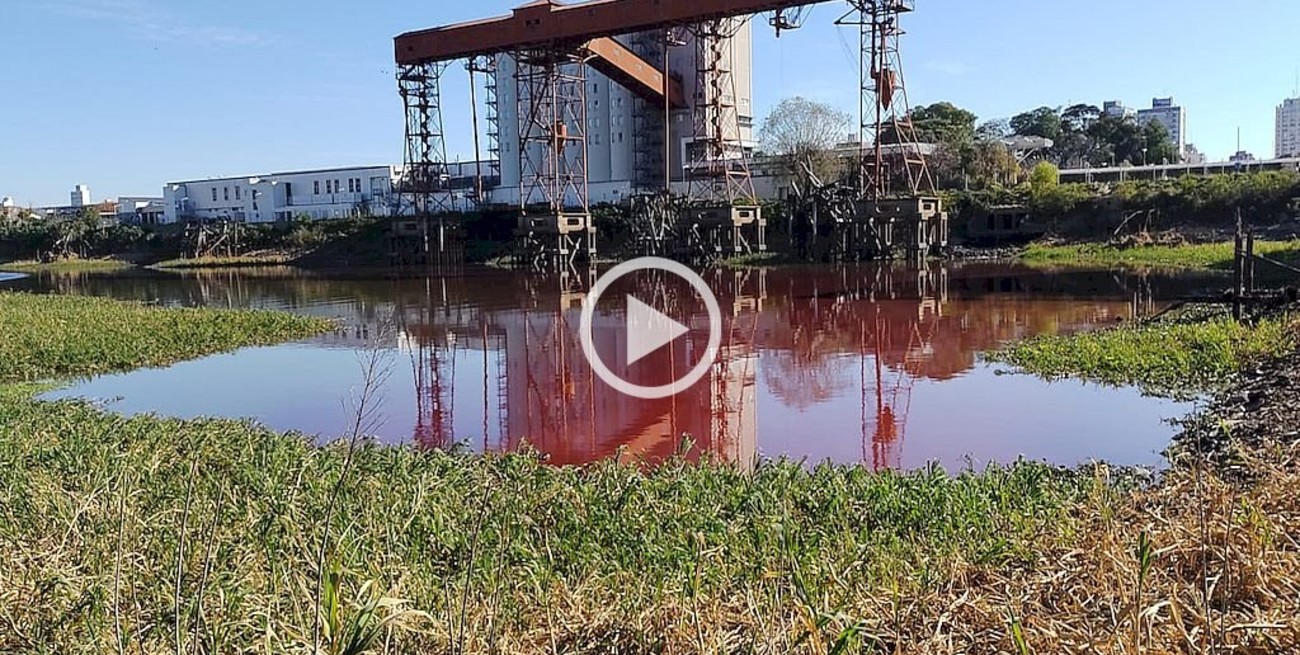 Video: efluentes tiñen de rojo el agua en un sector del Puerto de Santa Fe