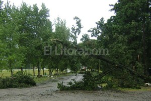 ELLITORAL_68125 |  Gentileza Municipalidad de Sunchales El fenómeno provocó serios daños durante la madrugada en el interior provincial.